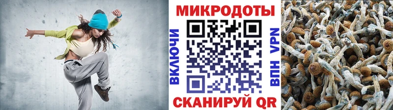 Купить  Волжск  Псилоцибиновые грибы Psilocybine cubensis 